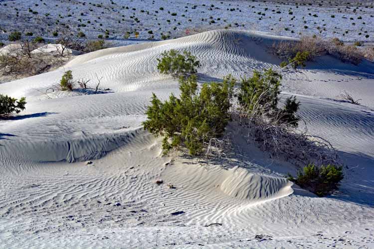 sand dunes